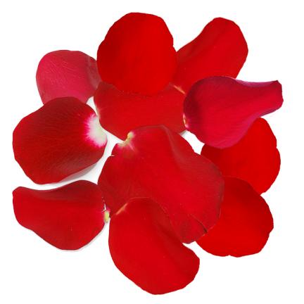 Fresh Petals: Premium Colors - Click Image to Close